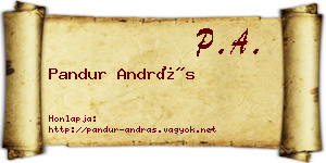 Pandur András névjegykártya