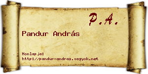 Pandur András névjegykártya